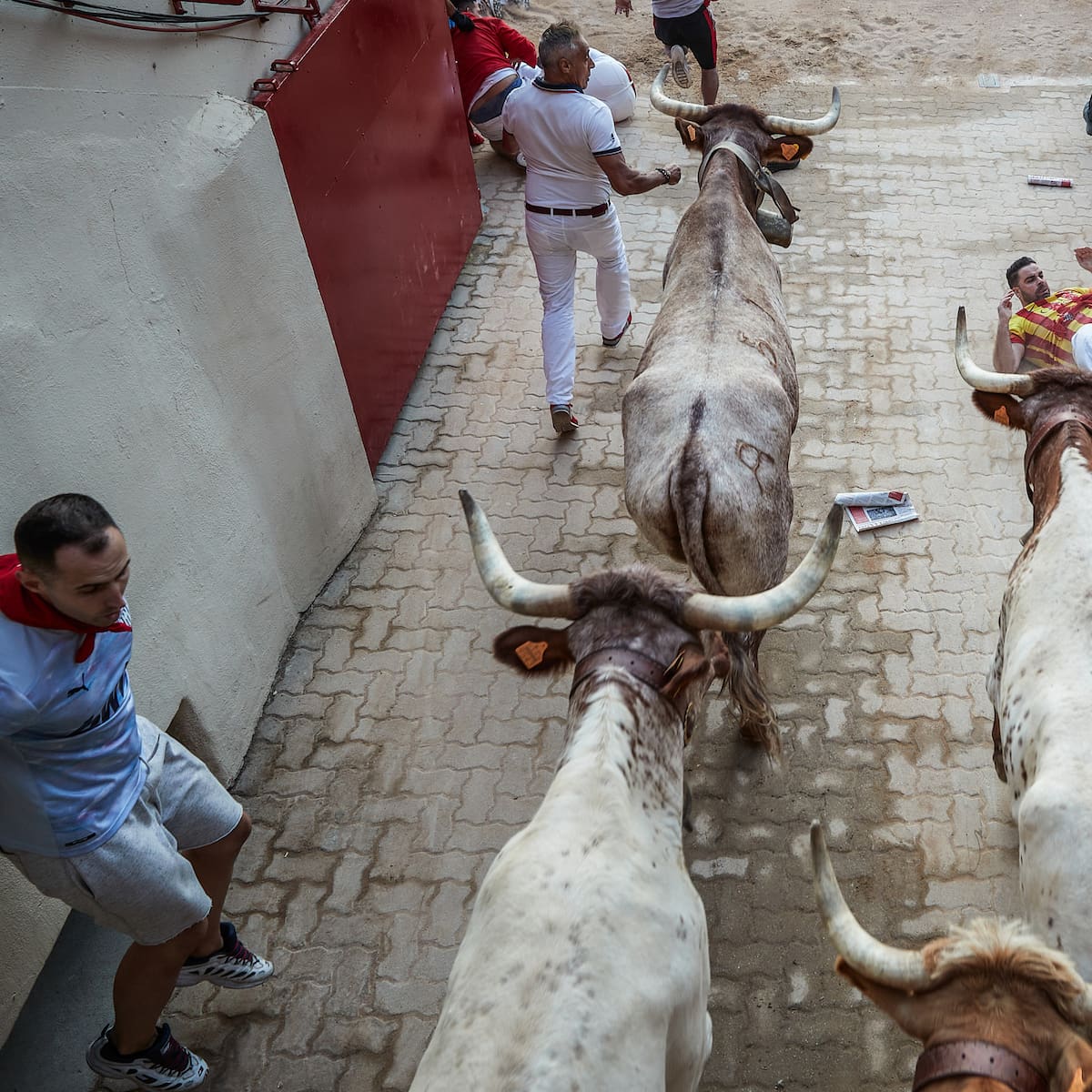 Cuarto encierro de Sanfermines 2026 del 10 de julio: horario, recorrido y dónde ver en directo
