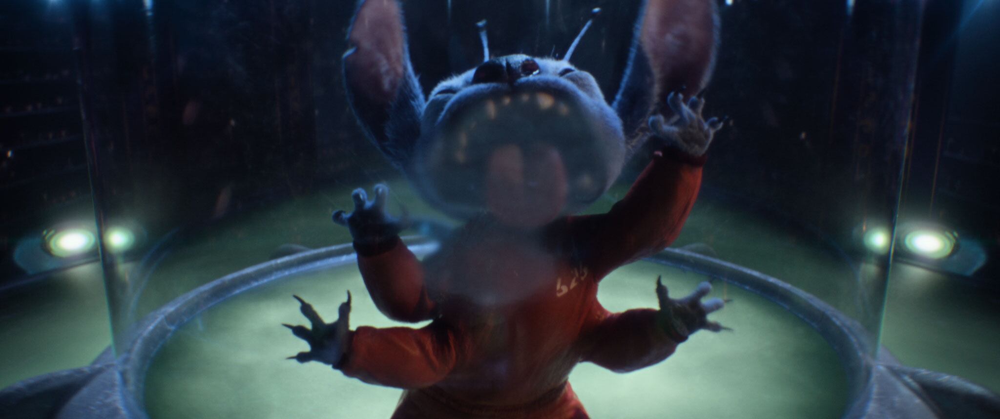 Stitch en &#039;lilo y Stitch&#039;. /  © 2025 Disney Enterprises Inc