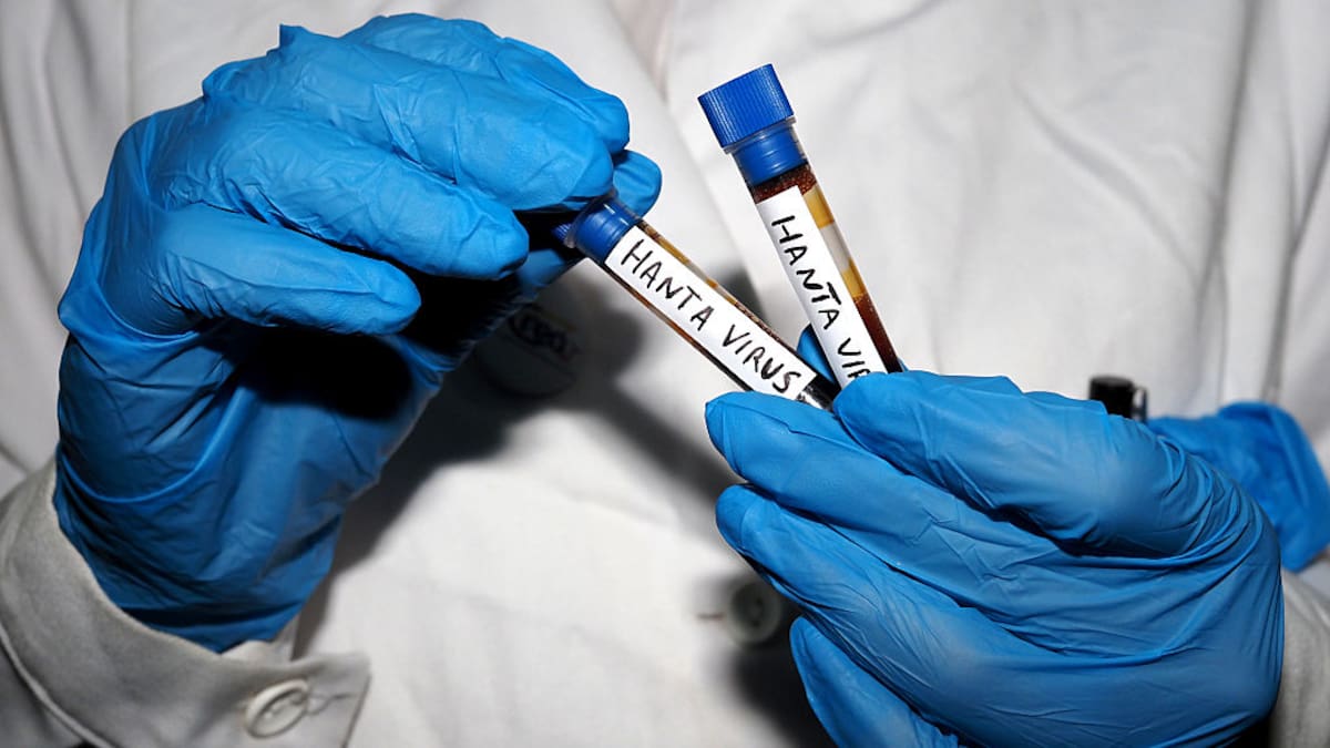 Zoonosis: la inquietante explicación detrás del hantavirus que ha puesto en alerta a medio mundo