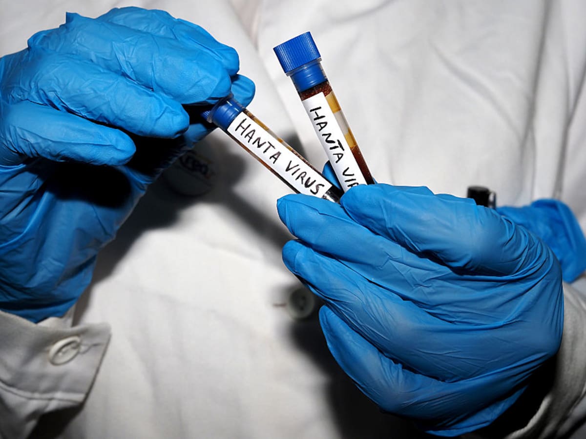 Zoonosis: la inquietante explicación detrás del hantavirus que ha puesto en alerta a medio mundo