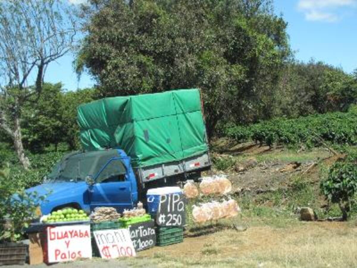 Mangos, Agua de Pipa y Baños de camino