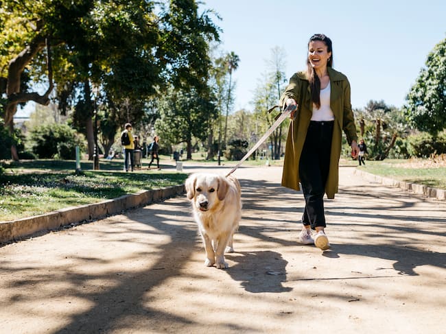 Para un perro, el paseo es el mejor momento del día.
