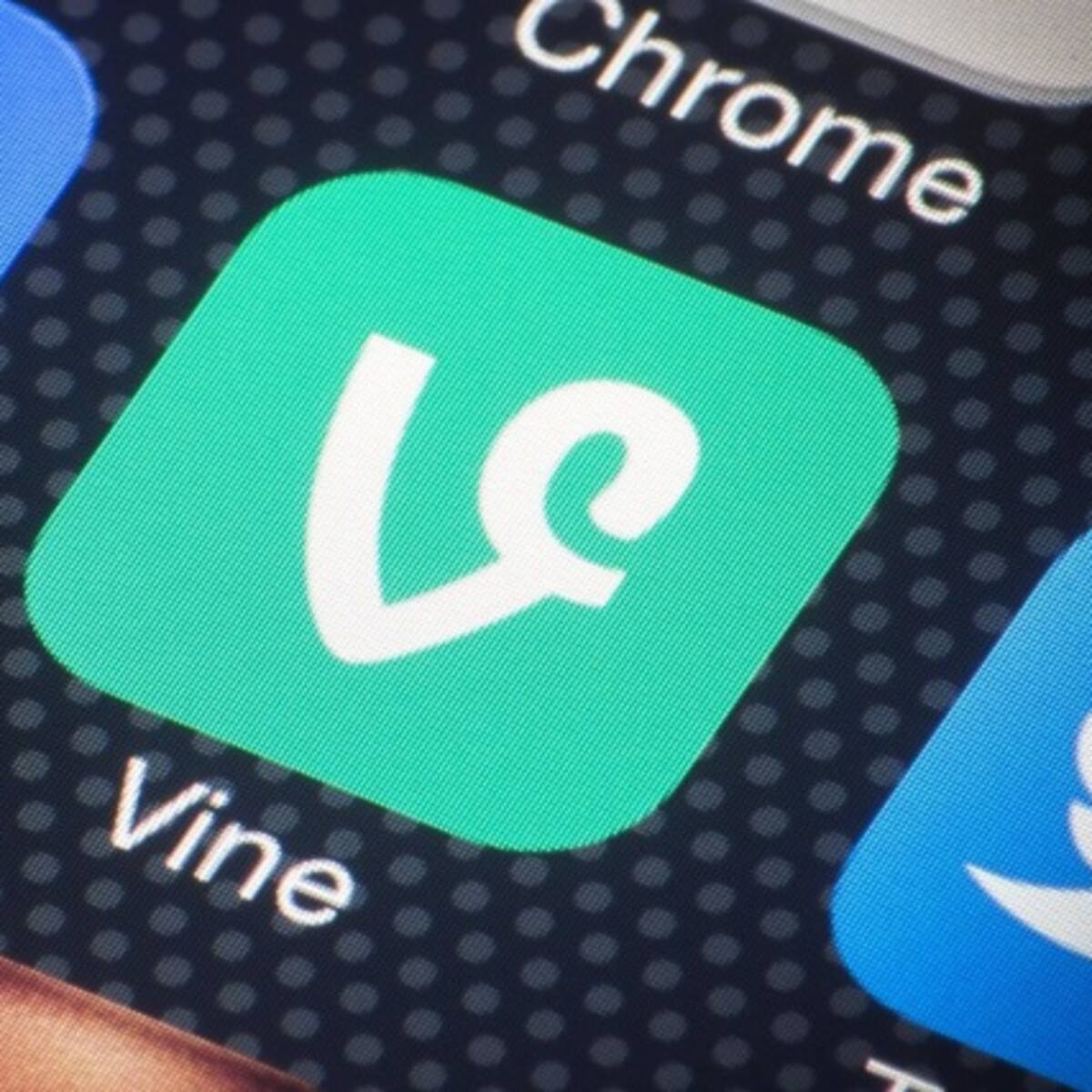 Hablemos sobre Vine
