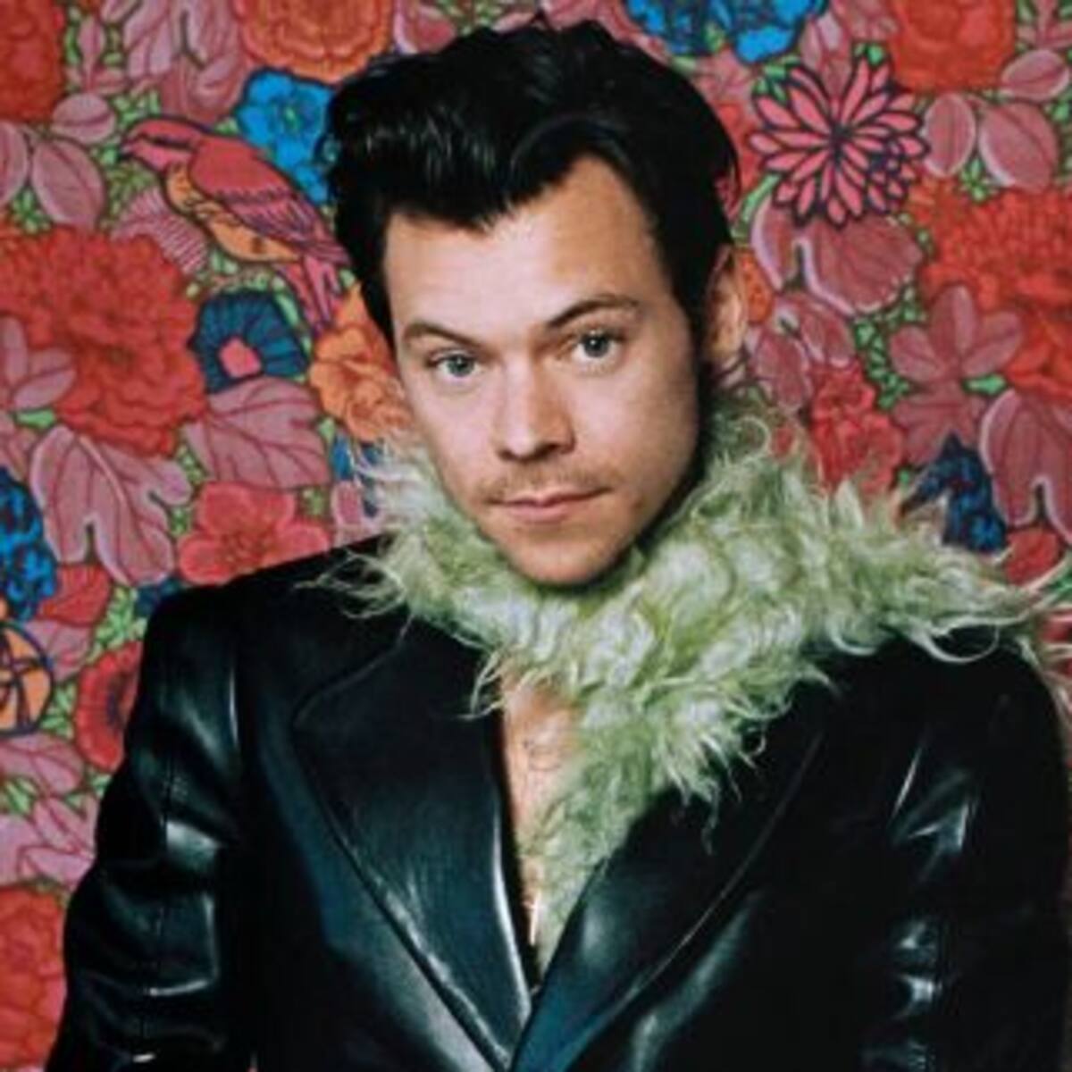 El bochornoso momento que vivió Harry Styles en pleno concierto