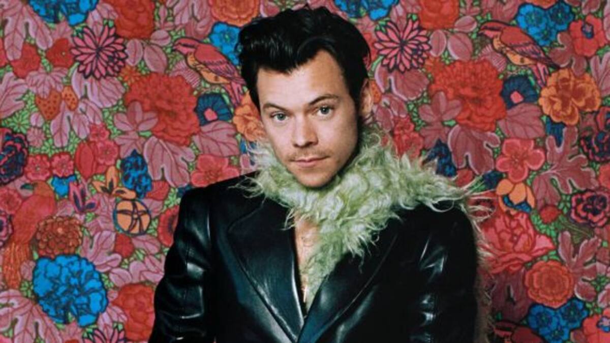El bochornoso momento que vivió Harry Styles en pleno concierto