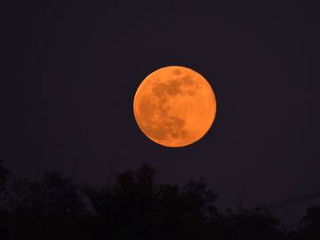 Alineación de 6 planetas este enero de 2025: cuándo es, dónde verlo y cómo