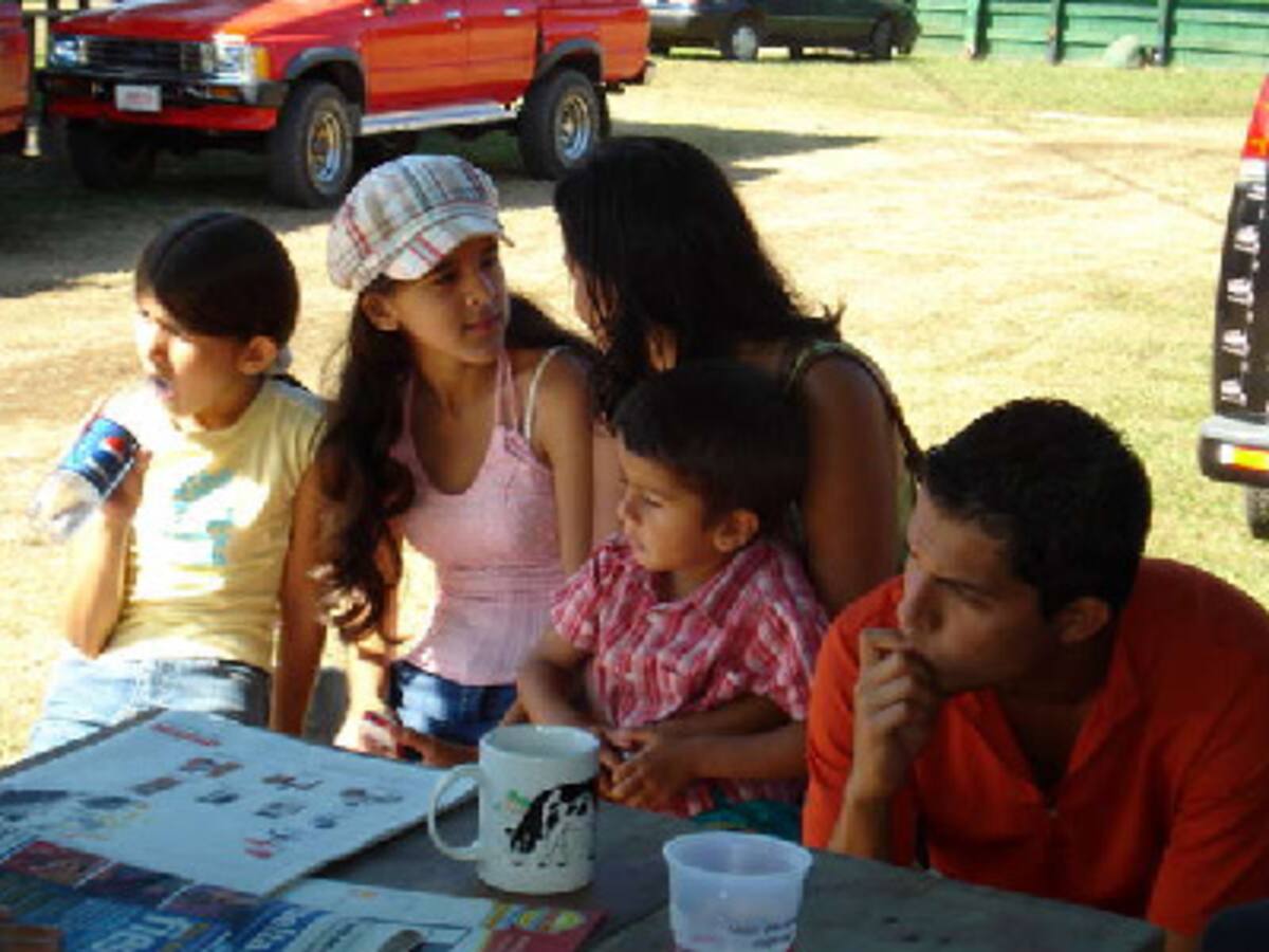 Los mini micros