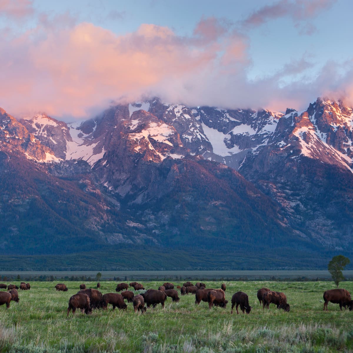 Así nació el primer parque nacional del mundo