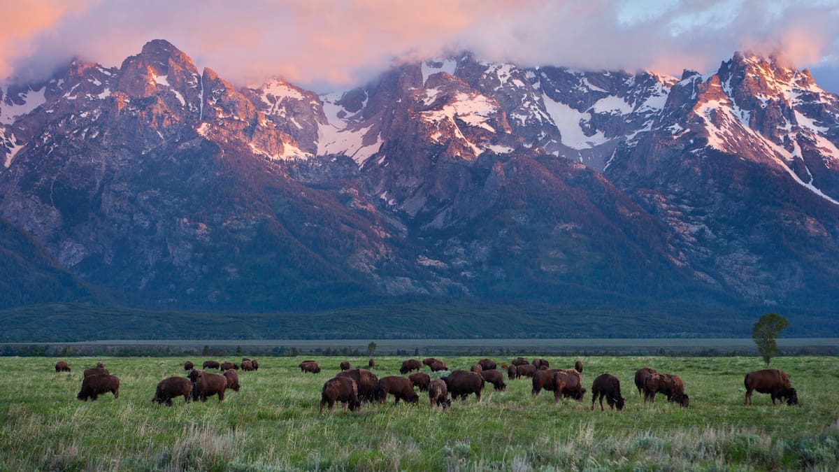 Así nació el primer parque nacional del mundo