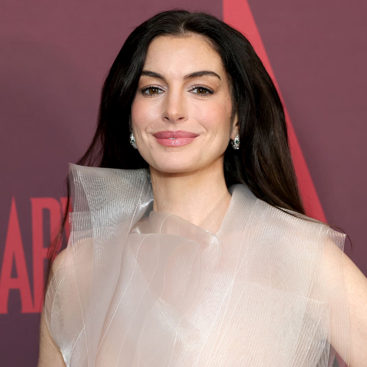 Anne Hathaway y Dakota Johnson protagonizarán juntas ‘Verity’, el éxito literario de Colleen Hoover