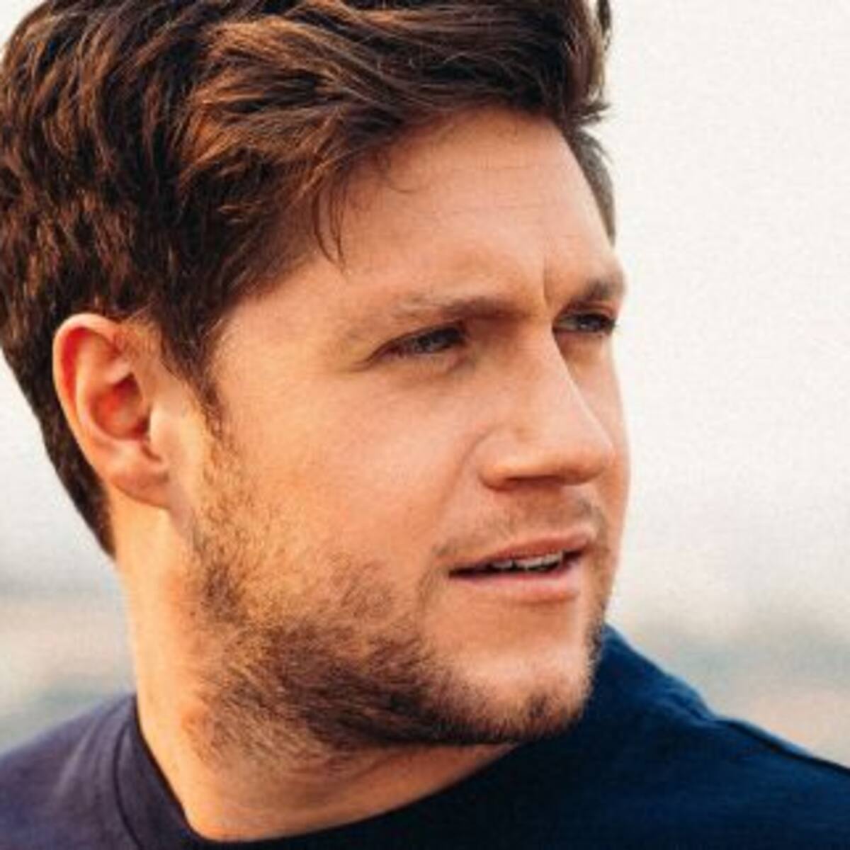 Niall Horan y su novia Amelia Woolley se muestran por primera vez en las redes sociales