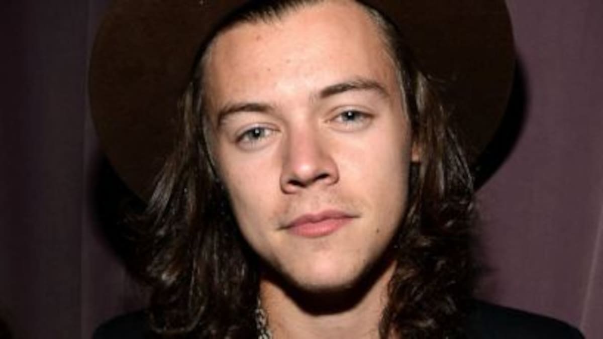 Harry Styles trabajará con el director de Batman