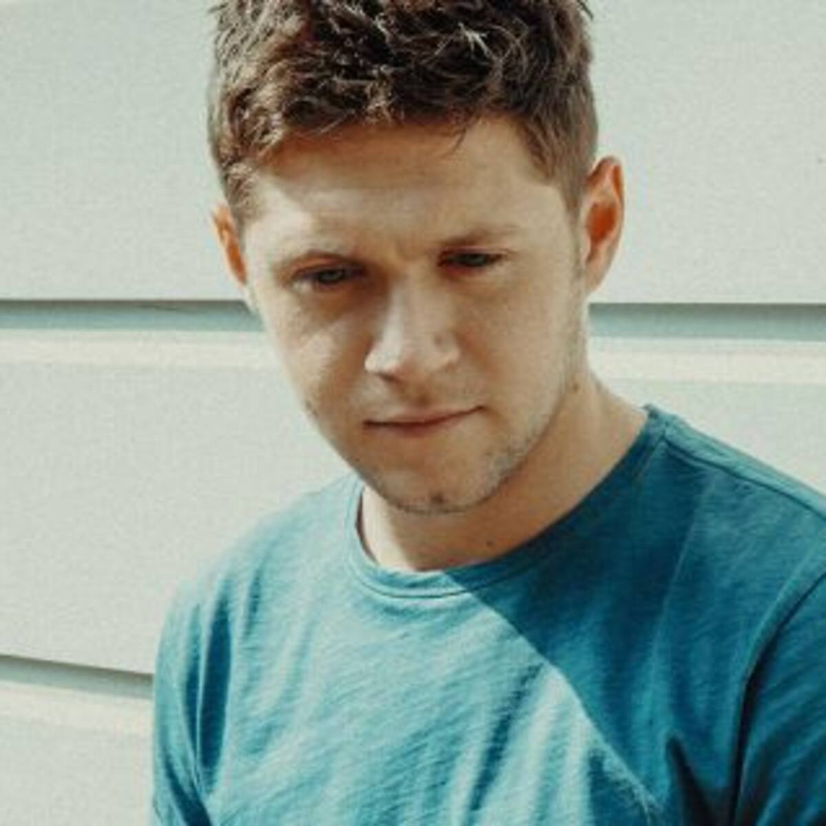 Niall Horan explicó las dificultades que vivió por formar parte de One Direction