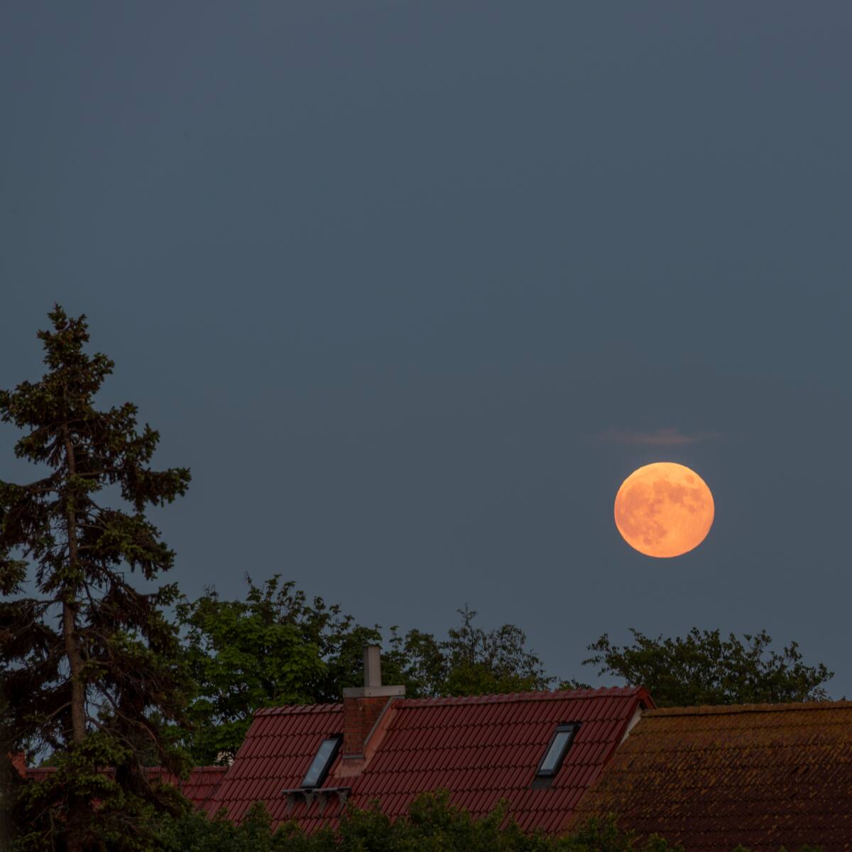 Luna llena de abril 2026: a qué hora y dónde ver la Luna Rosa en España