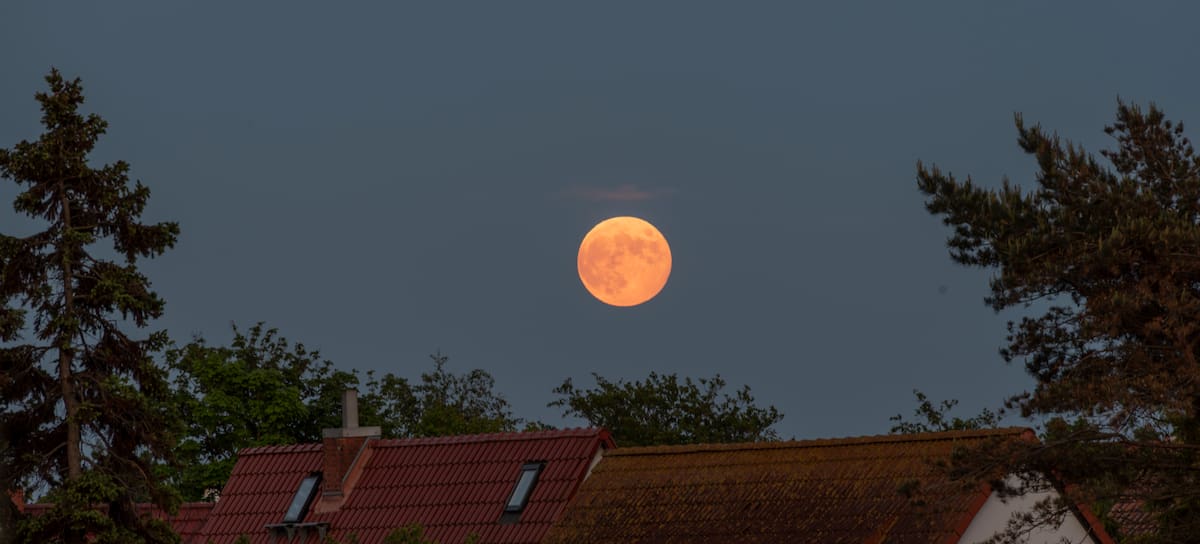 Luna llena rosa en el cielo
