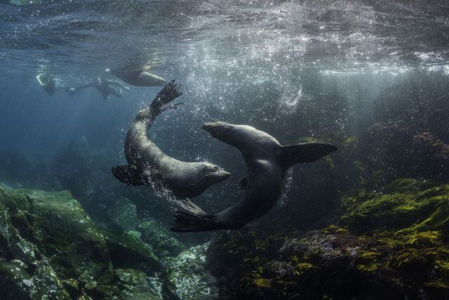 Día Mundial de los Océanos.