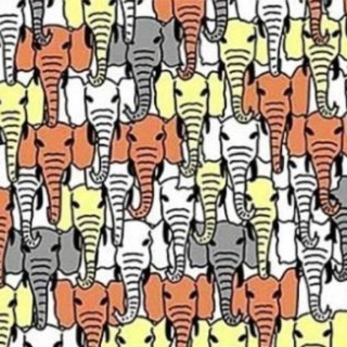 ¿Dónde está el Panda? Nadie puede resolver este difícil desafío