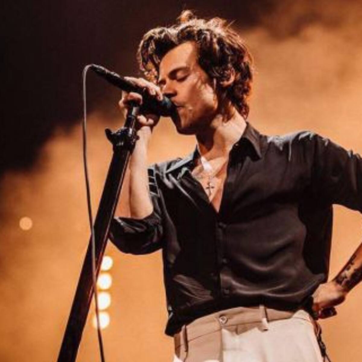 Conocé al "gemelo malo" de Harry Styles que se hizo viral en las redes sociales