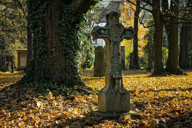 El espacio en donde se honran a los muertos