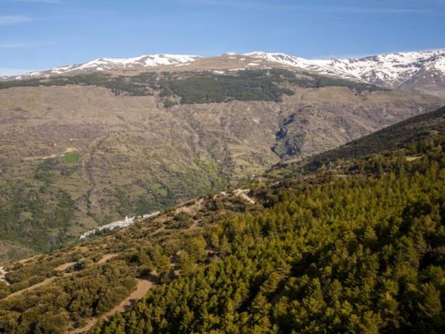 Vista de Sierra Nevada desde la Alpujarra Alta.