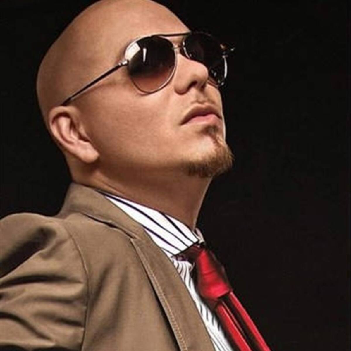 Pitbull consigue otro premio
