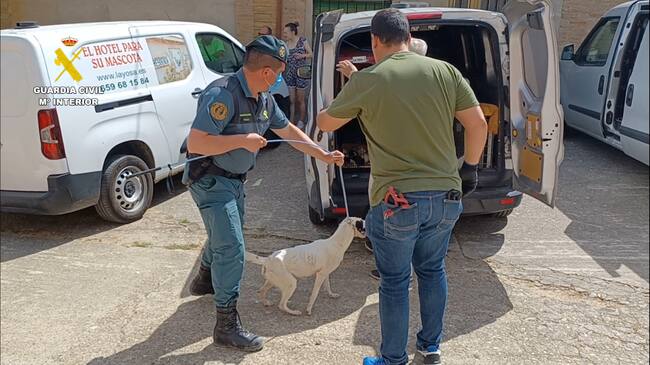Los agentes han rescatado a los animales y detenido a dos personas (foto: Ministerio del Interior).