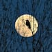 Luna llena de mayo 2024: cuándo y dónde ver la luna de las flores desde España