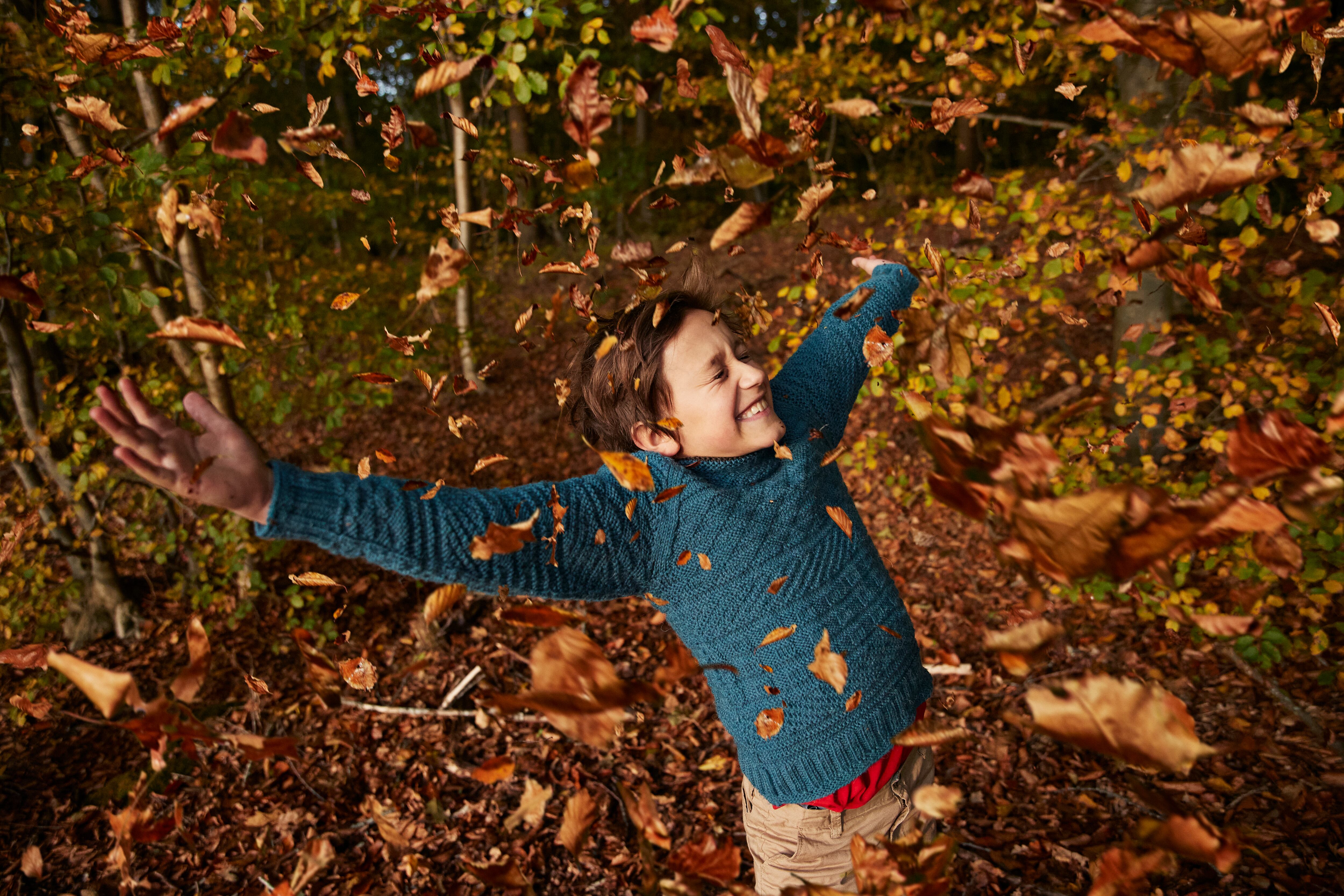 ¿Cuándo llega el otoño?