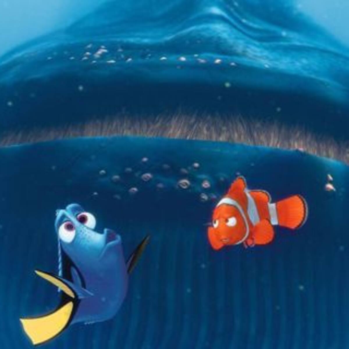 Conocé el primer avance de "Buscando a Dory"