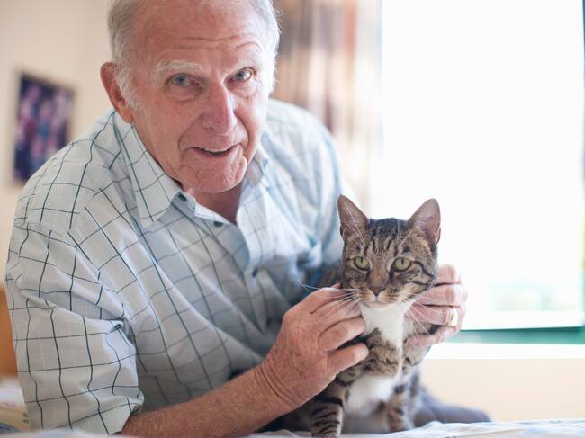 En el 40% de los hogares españoles vive algún animal de compañía.