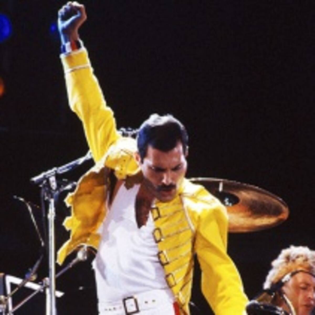 Recordando a Freddie Mercury