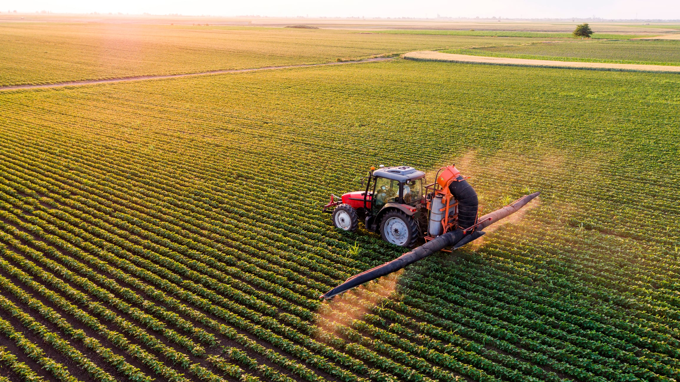 Los fertilizantes agrarios son parte del problema.