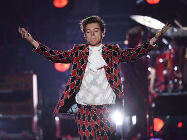 Harry Styles podría escribir un libro con las anécdotas de sus conciertos.