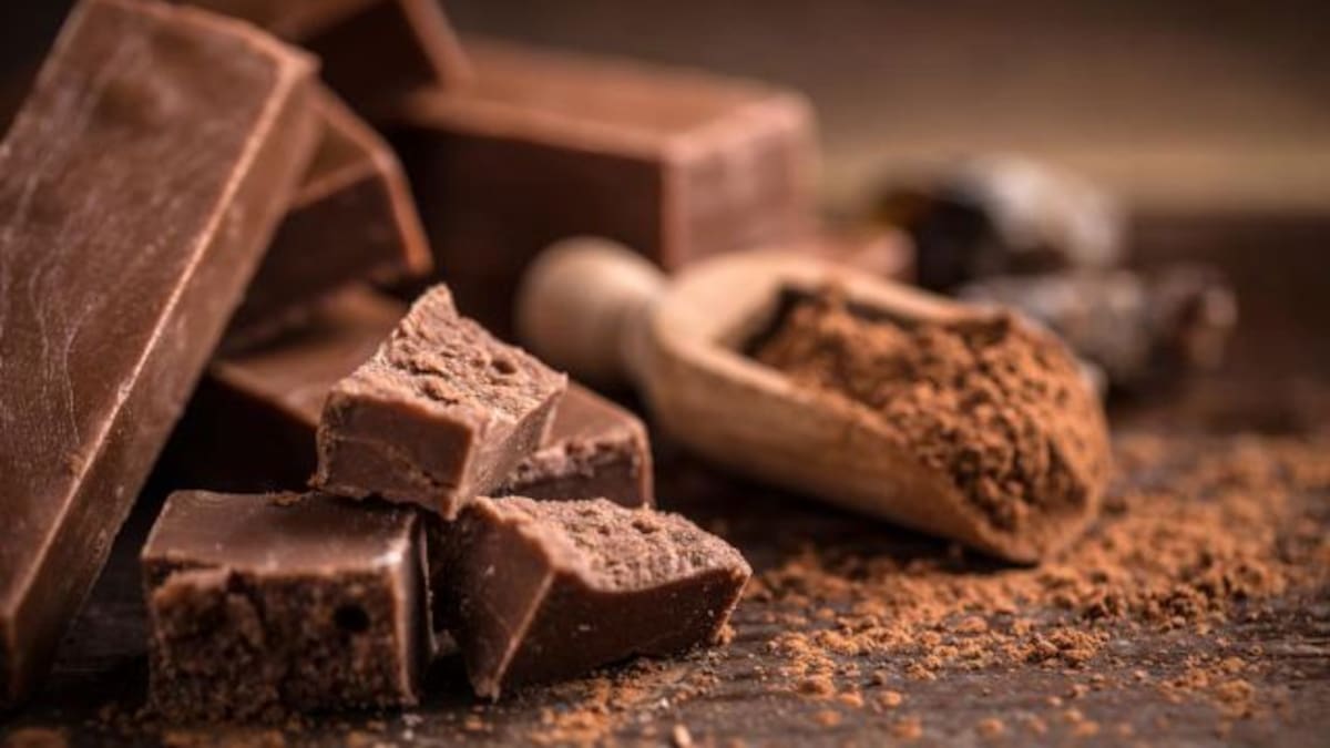 Se buscan desgustadores de chocolate