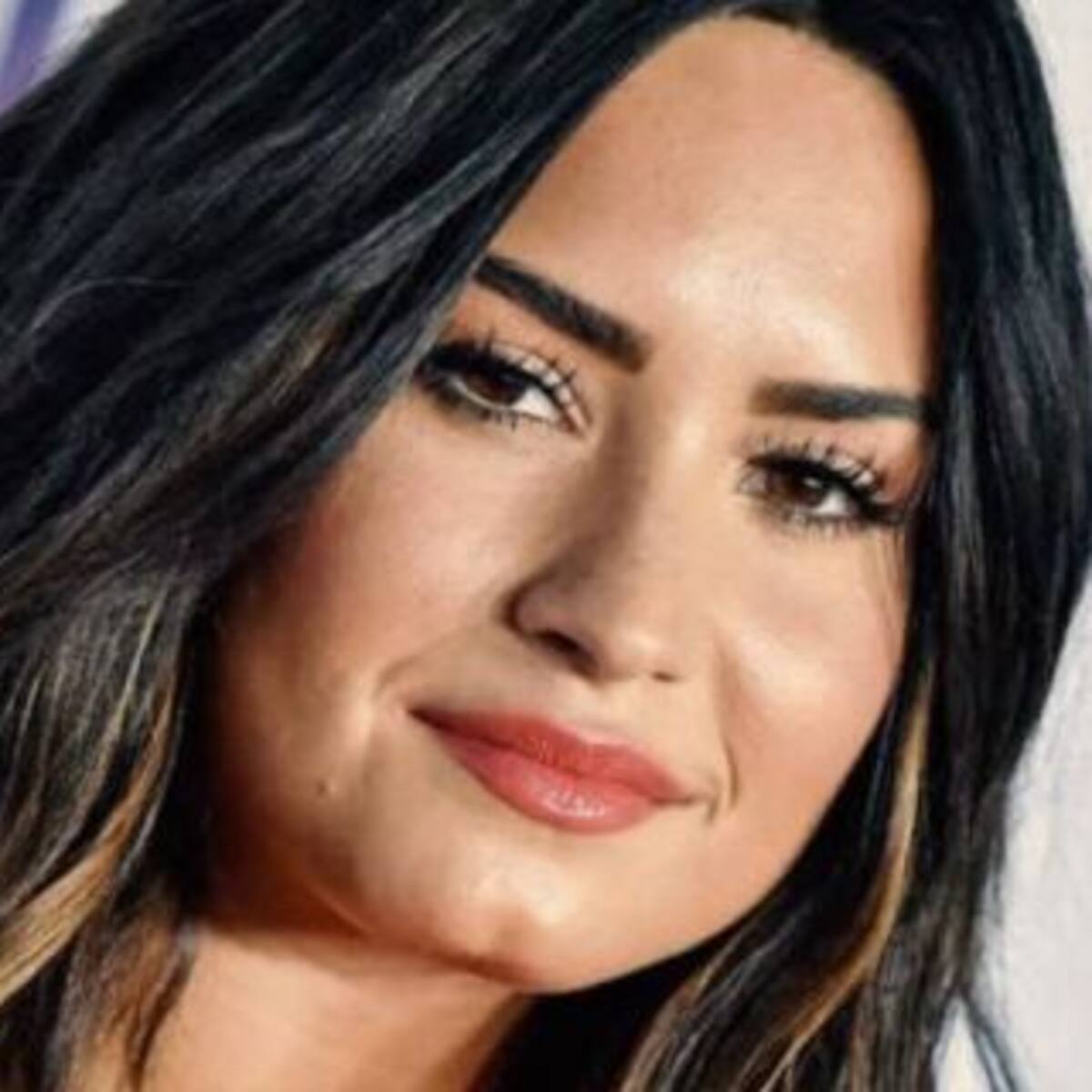Demi Lovato se peleó con una fan en sus redes sociales