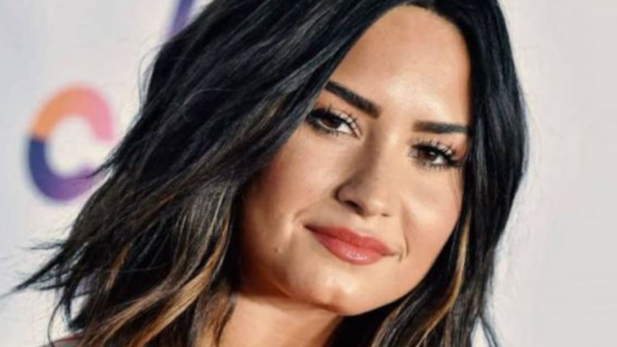 Demi Lovato se peleó con una fan en sus redes sociales