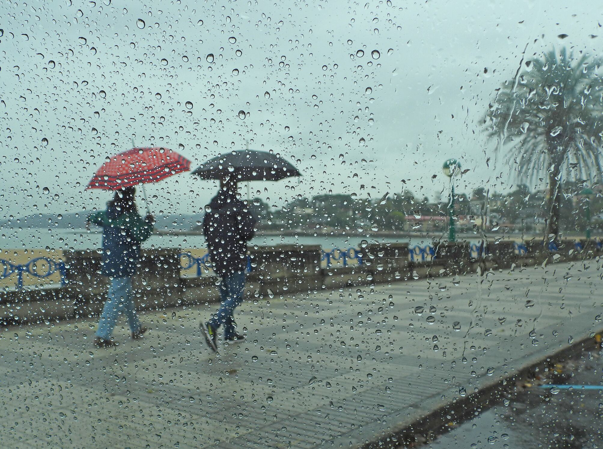 Una pareja pasea bajo la lluvia en A Coruña.