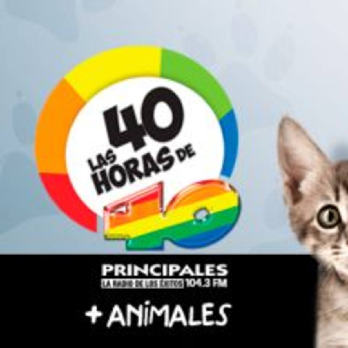 Formá parte de las 40 horas + animales