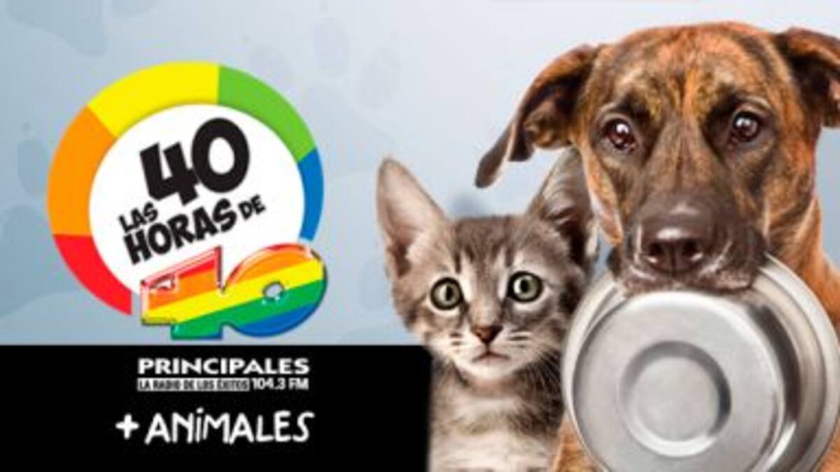Formá parte de las 40 horas + animales