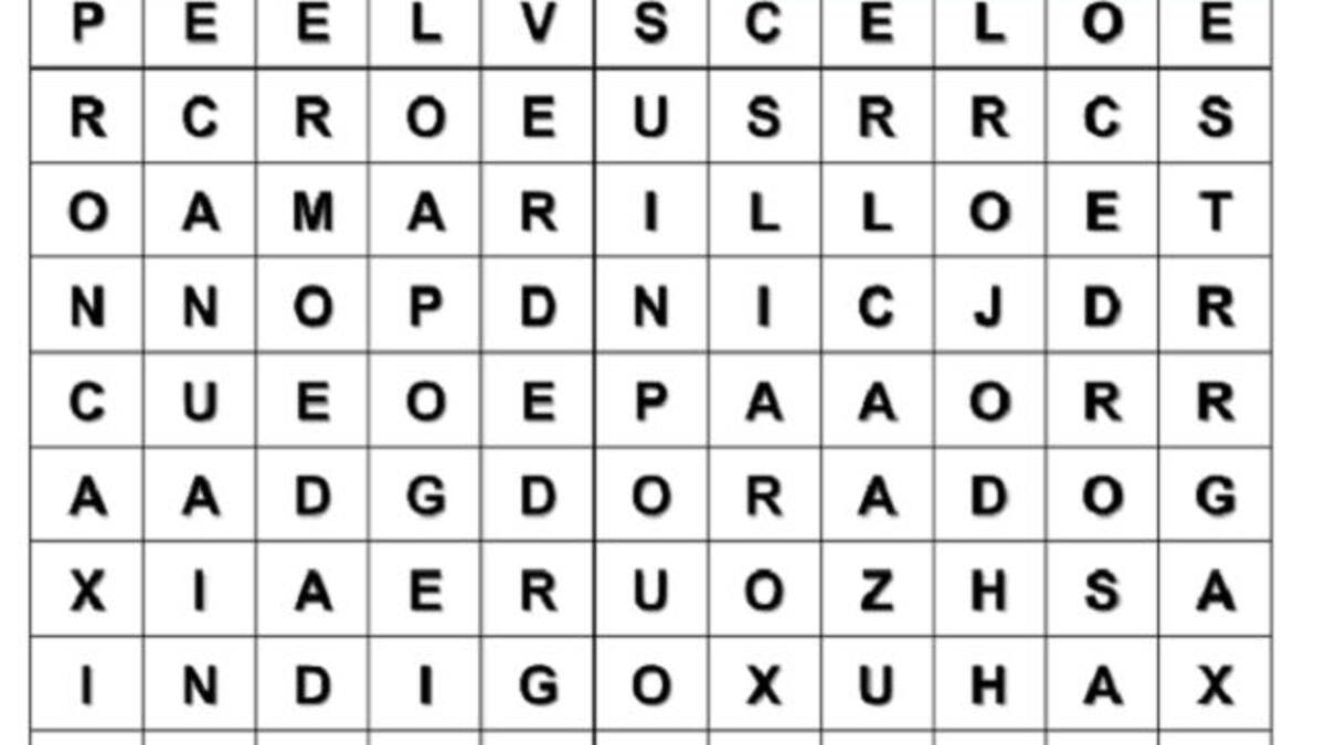 El primer color que veas dice mucho sobre tu personalidad