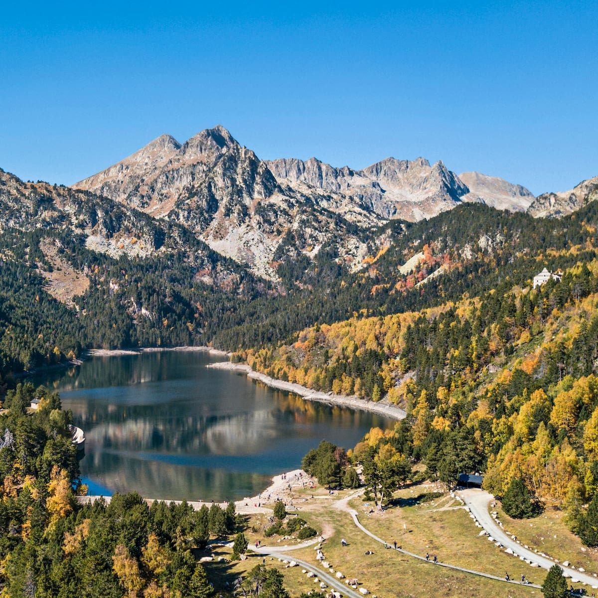 ¿Cómo se recupera la naturaleza de un país? España tiene un plan (pero hay un problema)
