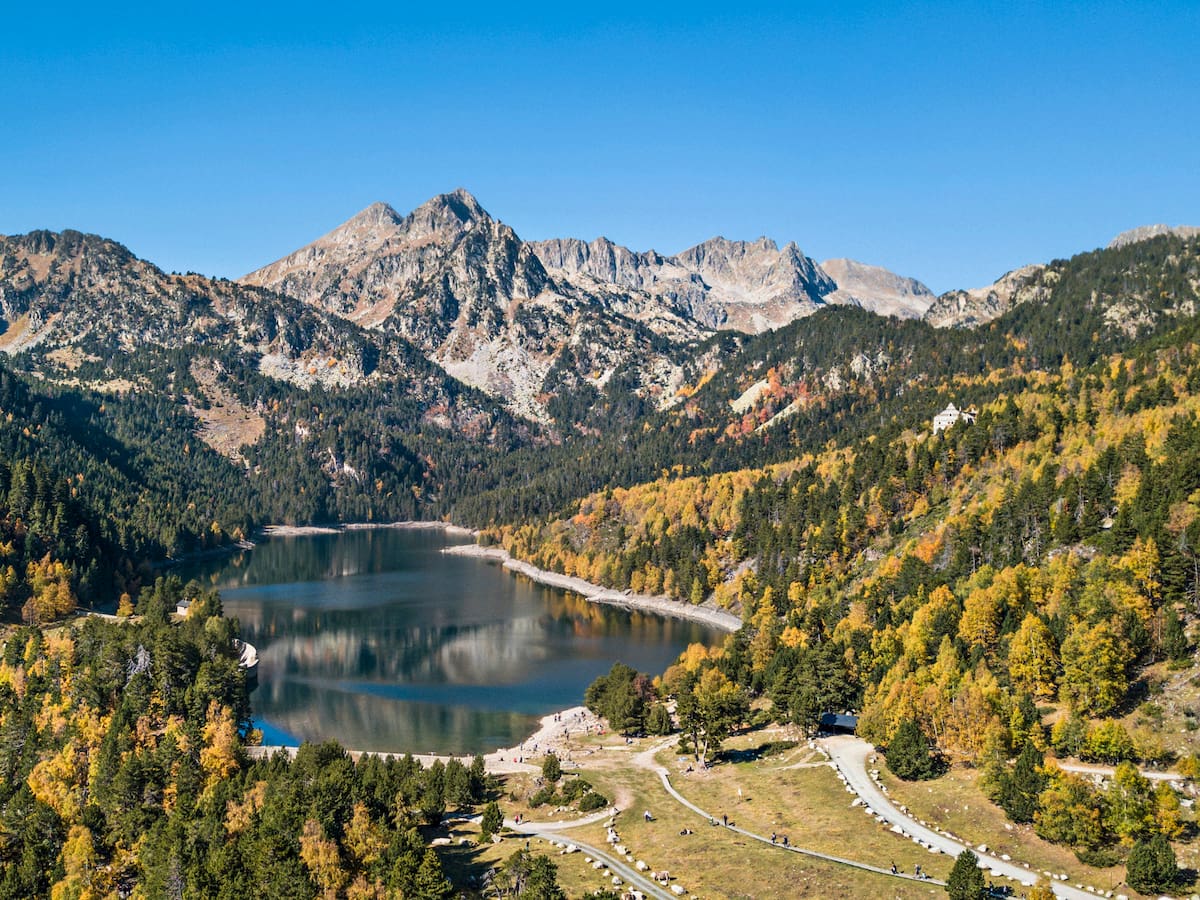 ¿Cómo se recupera la naturaleza de un país? España tiene un plan (pero hay un problema)