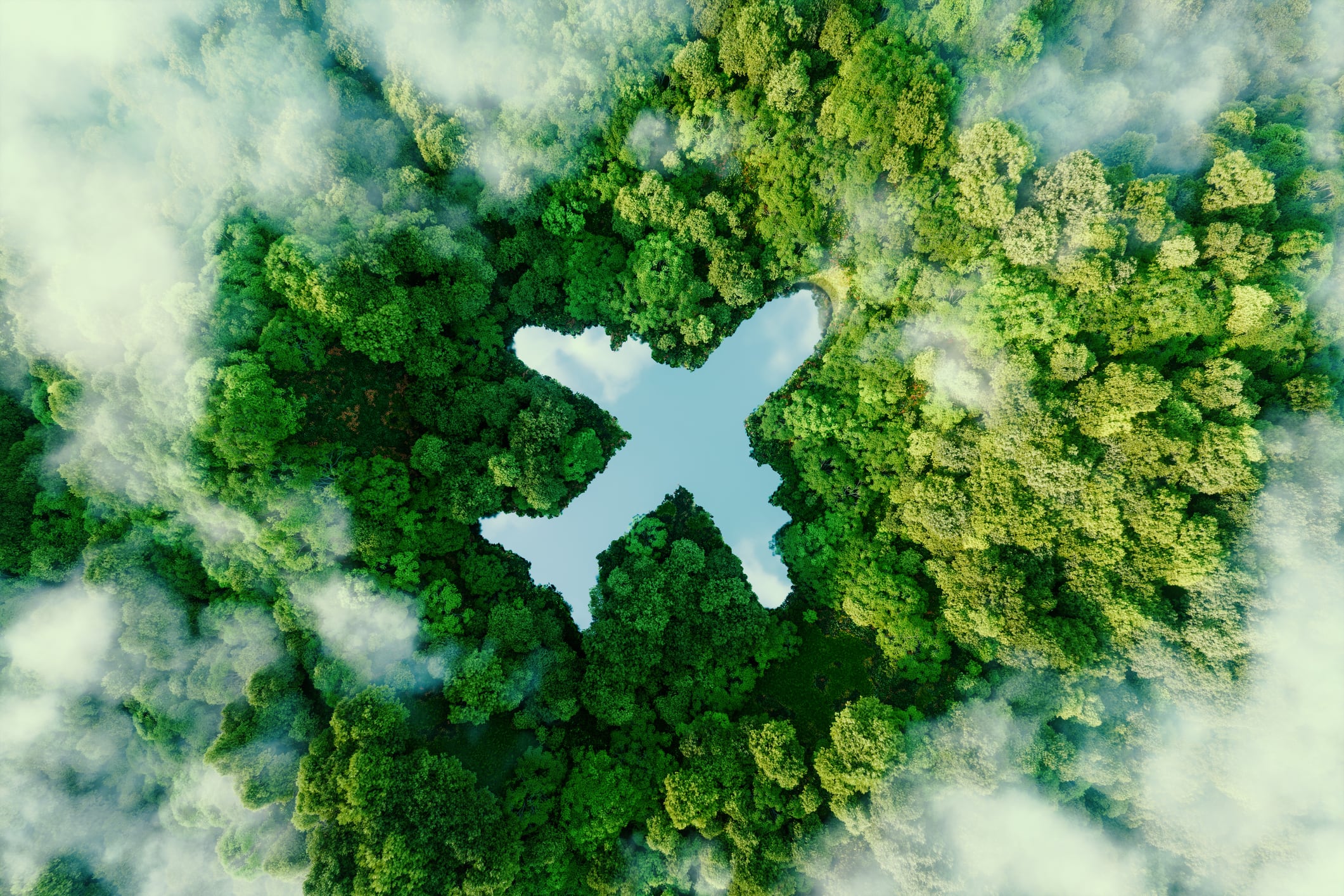 El avión tiene un elevado impacto en el medio ambiente.