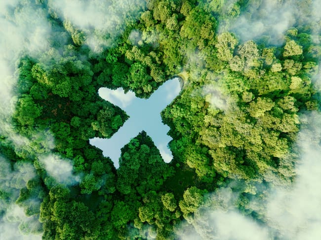 El avión tiene un elevado impacto en el medio ambiente.
