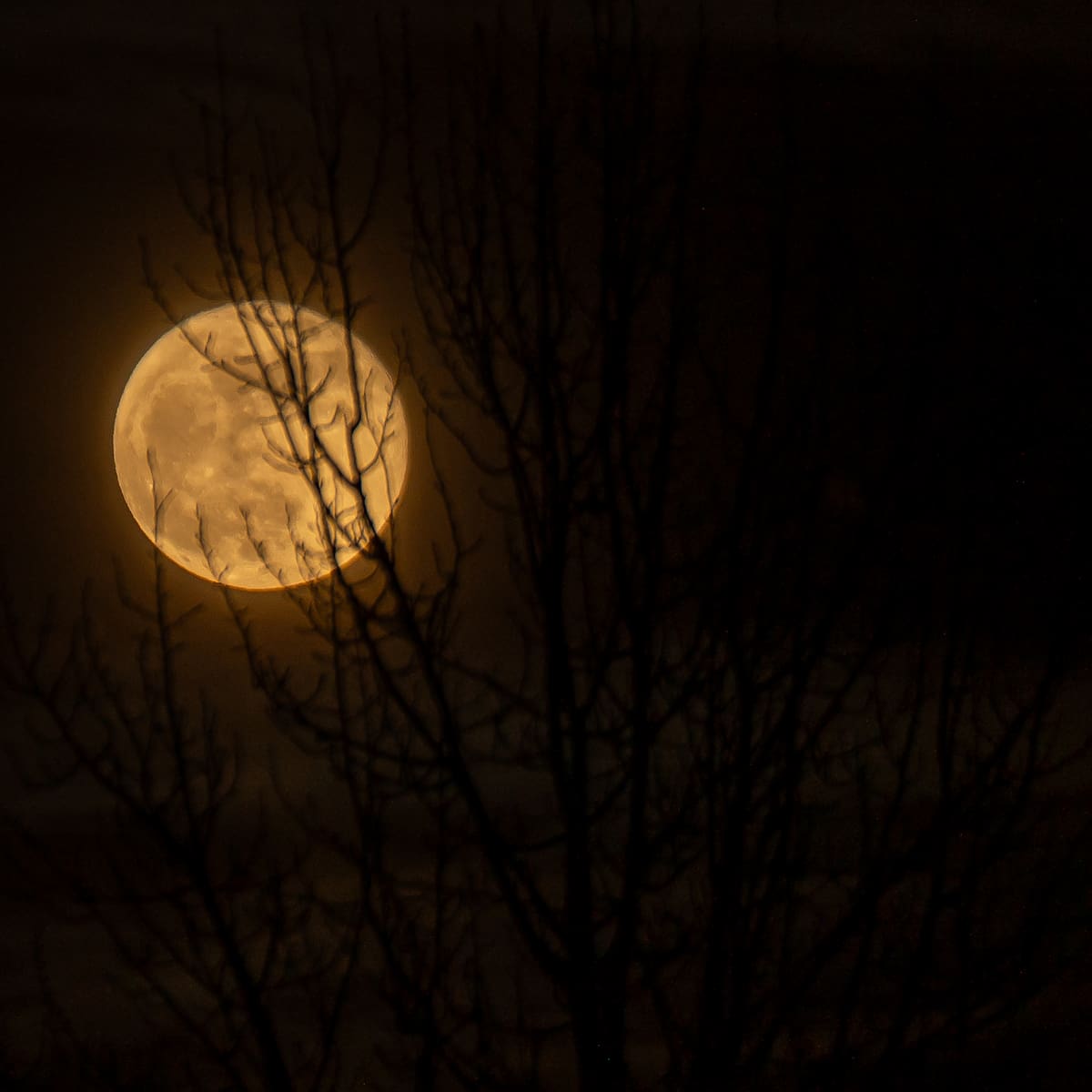 Calendario lunar de marzo 2026: todas las fases de la luna este mes
