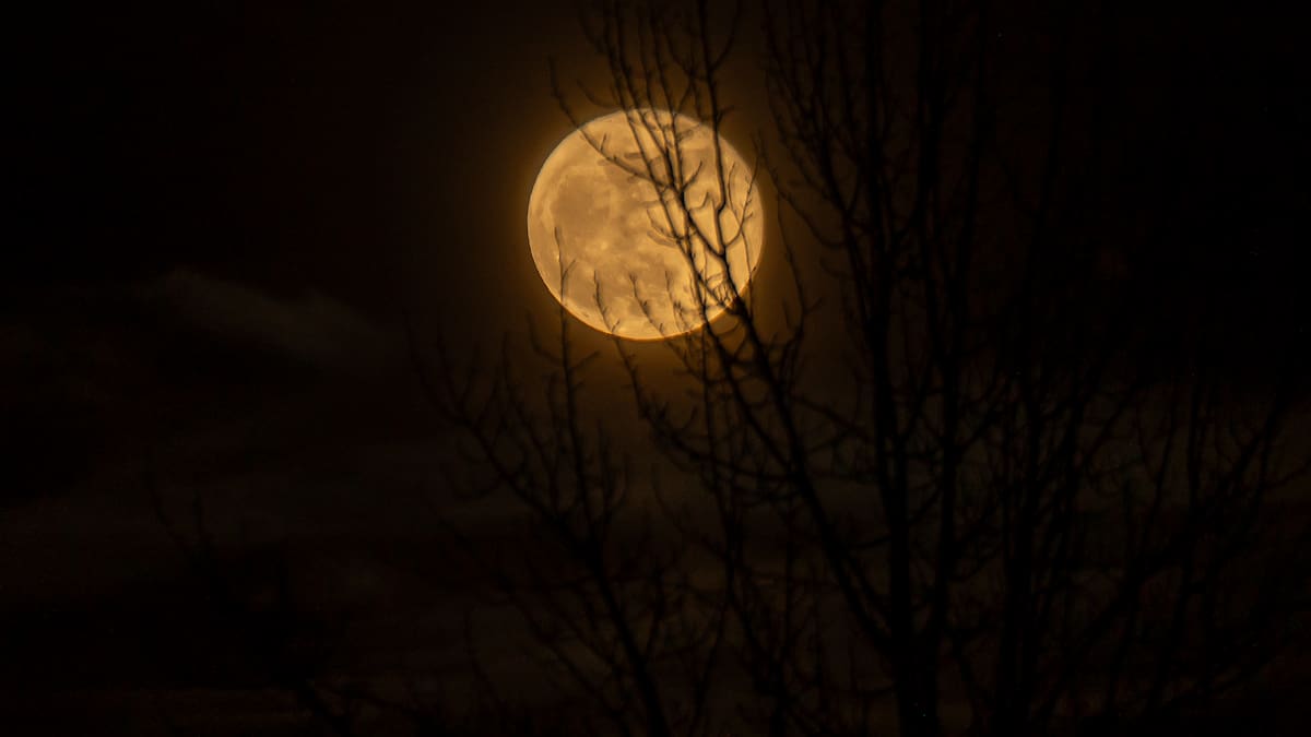 Calendario lunar de marzo 2026: todas las fases de la luna este mes