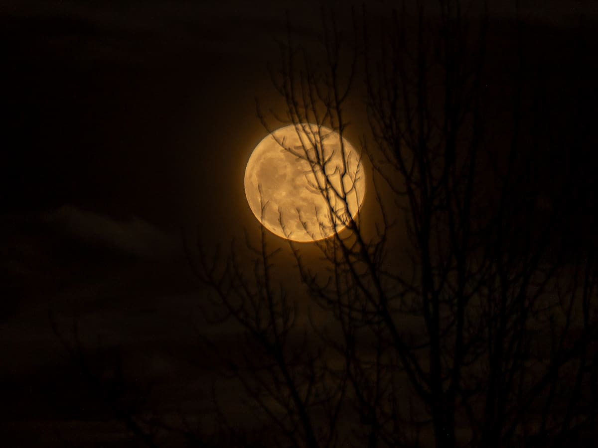 Calendario lunar de marzo 2026: todas las fases de la luna este mes