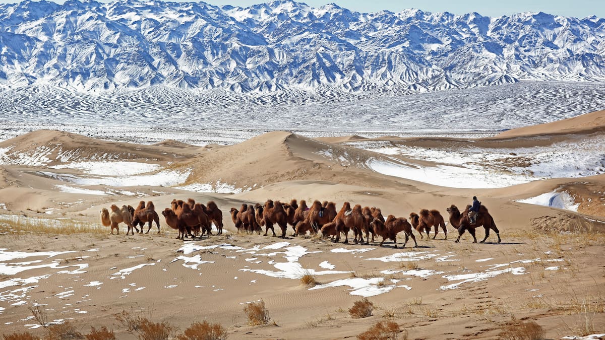 La COP sobre desertificación de Mongolia en la que España también se la juega