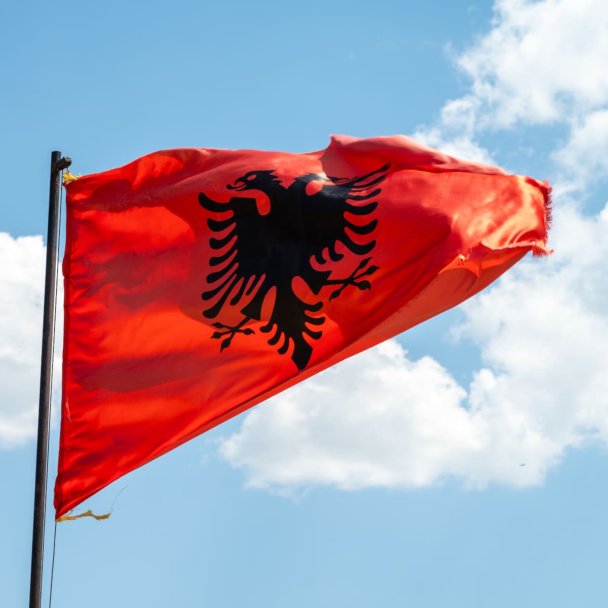 La revolución de los flamencos: el resort de los Trump que ha incendiado Albania