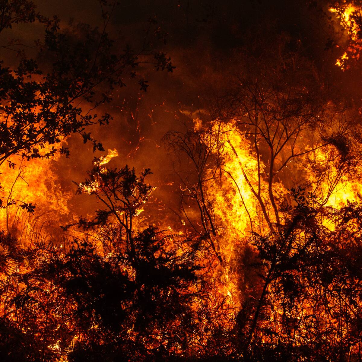 Alerta por incendios: así está la situación en Cantabria